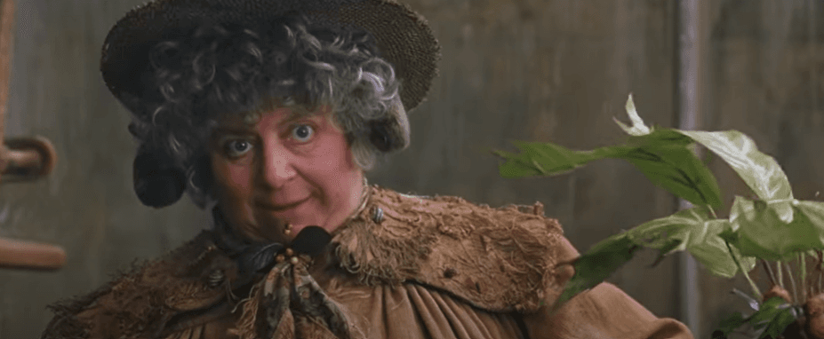 Miriam Margolyes interpretó a la profesora Sprout en 'Harry Potter'
