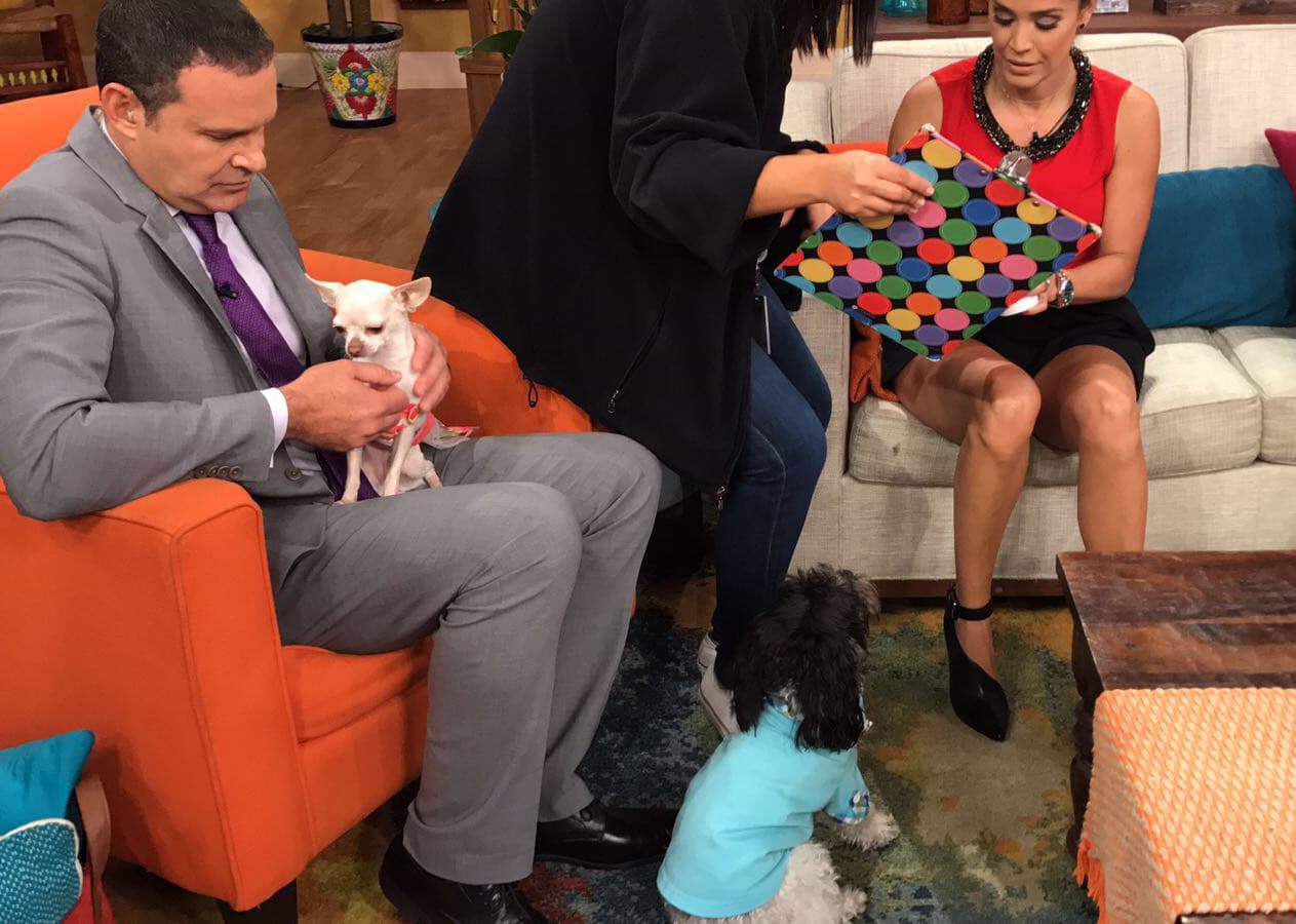 Chompi veía con ojos de amor a Karla, mientras ella trabajaba.