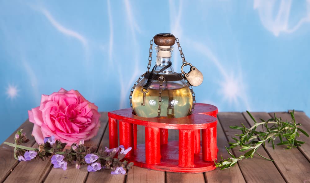 El toloache es una planta arbustiva que se cultiva en México, Centro y Sudamérica que tiene alrededor de 12 especies y que, a través de los años ha tenido varios usos medicinales pero cuyos efectos pueden ser realmente dañinos para la salud. En inglés se le llega a conocer con nombres como pricklyburr, moonflower o hasta Devil's hornet - la trompeta del diablo.