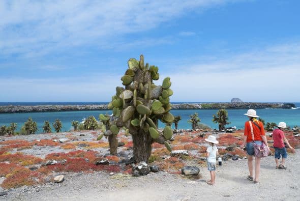 12. Islas Galápagos, Ecuador. Los animales aquí no le tienen nada de miedo a las personas. Podrían lograr selfies increíbles con especies únicas en el mundo.