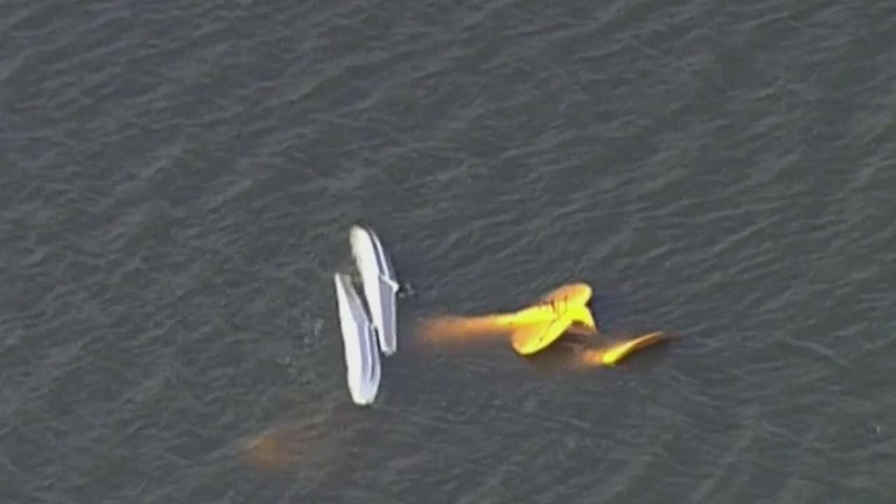 Cuatro muertos tras choque de avionetas en Florida