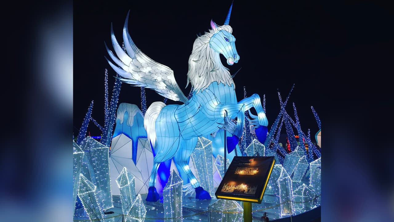 El festival inci´o en el 2015.