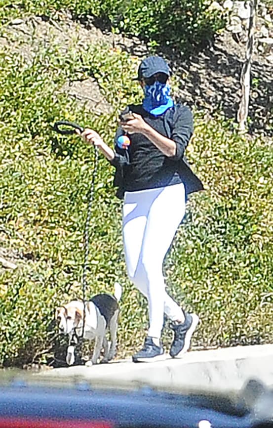 En su nuevo país de residencia, Meghan y Harry sacaron a pasear a sus perros y entregaron paquetes de comida a los afectados por el coronavirus, en su papel como voluntarios de la organización sin fines de lucro 'Project Angel Food'.