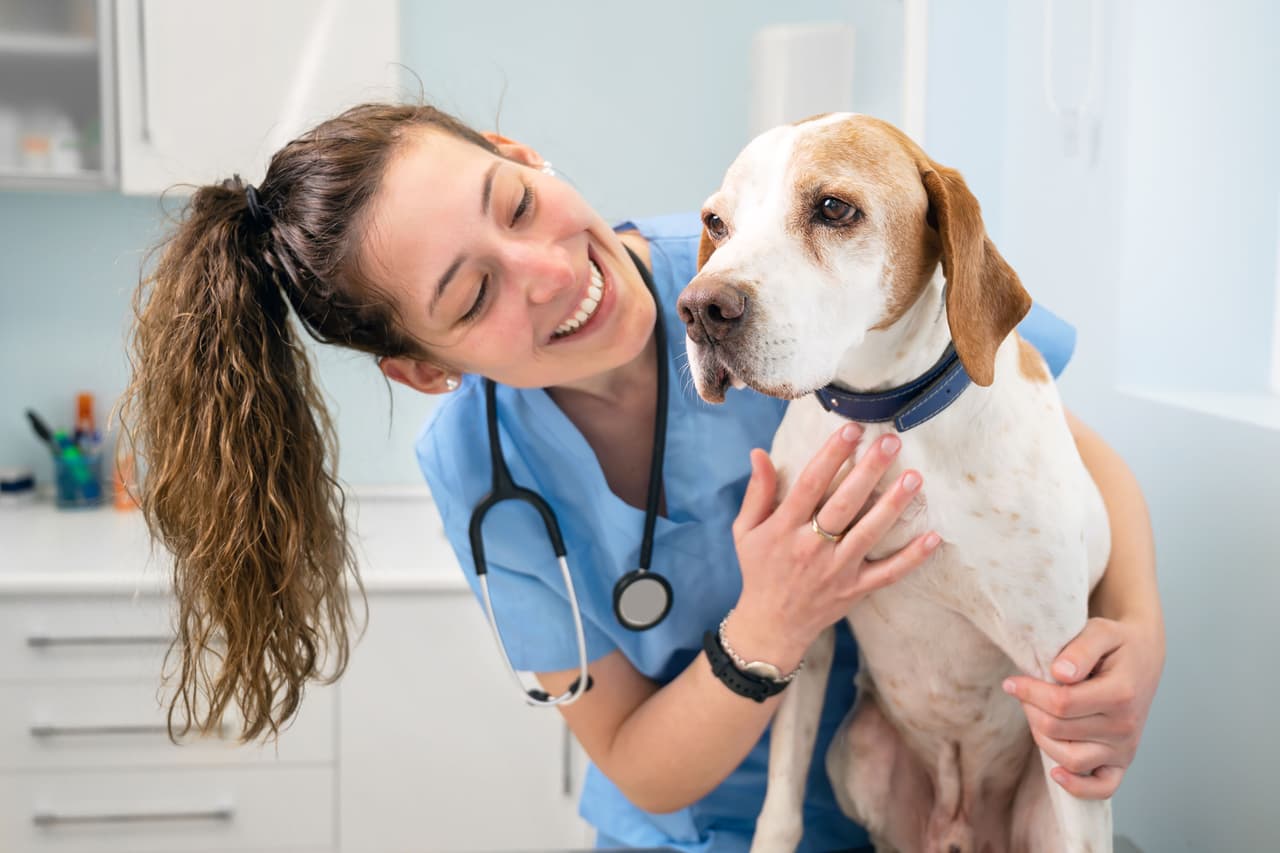 <b>Puesto 23. Veterinario</b>
<br>
<br>Industria: cuidado de la salud
<br>
<br>Salario anual promedio: 99,250 dólares
<br>
<br>Tasa de desempleo: 0.8%
<br>
<br>Proyección del crecimiento para 2030: 17% (14,500 nuevos trabajos)
<br>
<br>Para ejercer, los veterinarios deben completar un programa universitario y luego obtener una licencia estatal.
