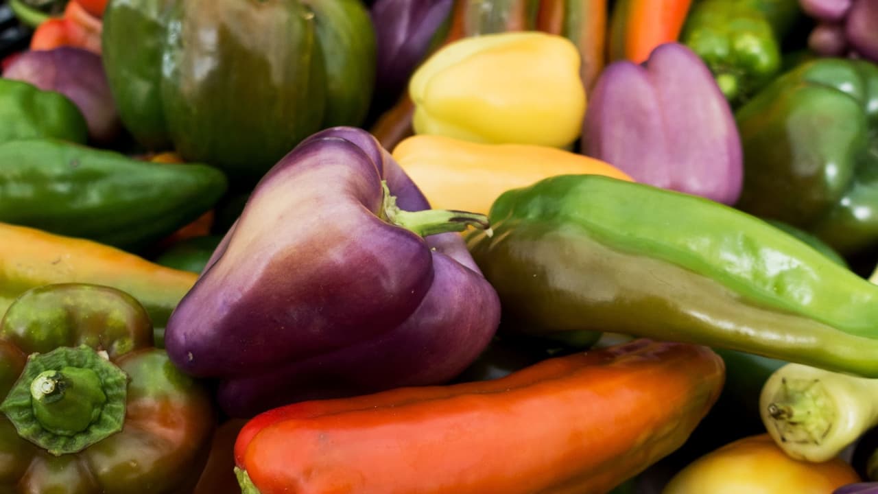 A veces, los contrabandistas intentan enviar alimentos y plantas prohibidos con documentos falsos. En diciembre, los especialistas en agricultura de CBP en Newark encontraron un envío de pimientos frescos de Guatemala. Durante la revisión de documentos, el certificado fitosanitario proporcionado, que debe usarse para facilitar la importación de plantas y productos vegetales, estaba borroso y no se pudo encontrar un certificado original. Posteriormente se descubrió que la certificación era fraudulenta, lo que puede alterar las opciones de acciones fitosanitarias que se deben tomar para evitar el ingreso de plagas vegetales, productos vegetales prohibidos o productos animales capaces de introducir enfermedades animales foráneas, reportó CBP.