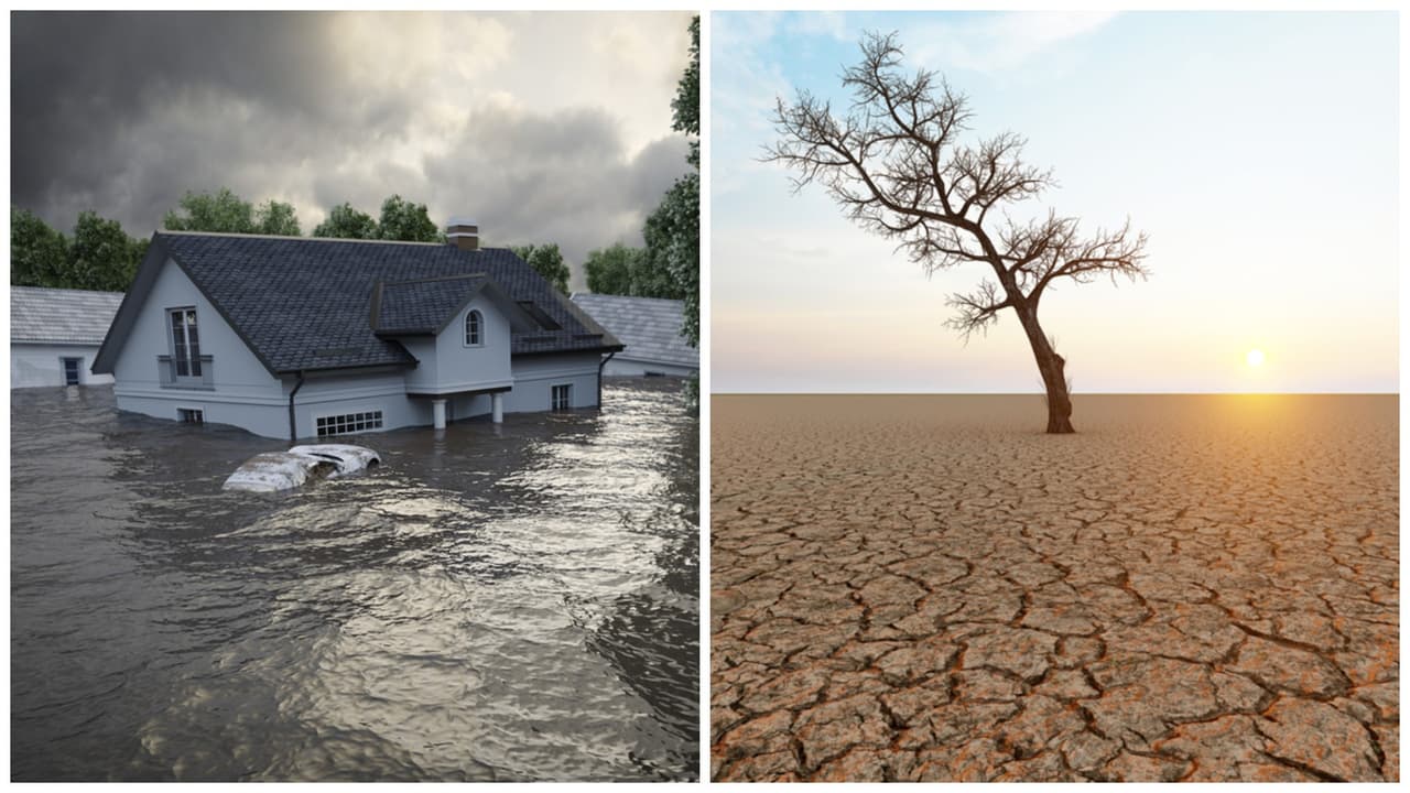 ¿Qué es el fenómeno 'El Niño' y por qué debería preocuparnos? Así afecta al planeta