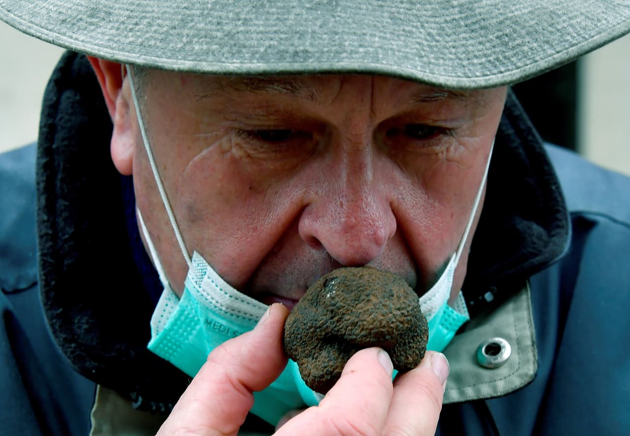 Una parte de la población que padeció
<a href="https://www.univision.com/temas/coronavirus">coronavirus</a> experimentan pérdida del olfato prolongada, que en algunos casos se extiende por meses. Al menos un 24% de los individuos que hicieron parte del estudio no recuperaron el olfato “60 días después del inicio de la disfunción”.