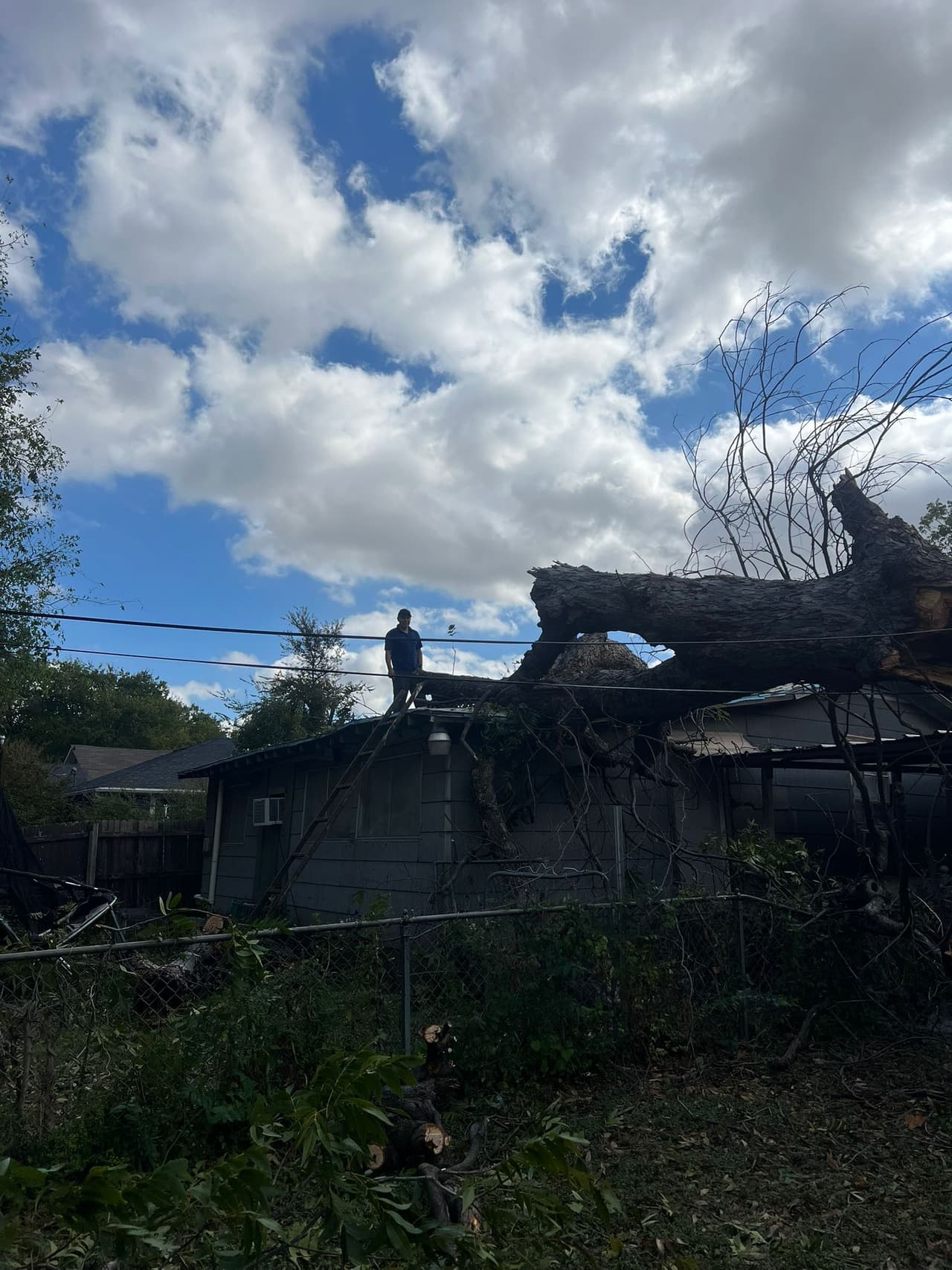 Trabajadores y vecinos amanecieron intentando remover las ramas caídas de los techos de los árboles. Además, se reportaron cortes de electricidad y apagones.