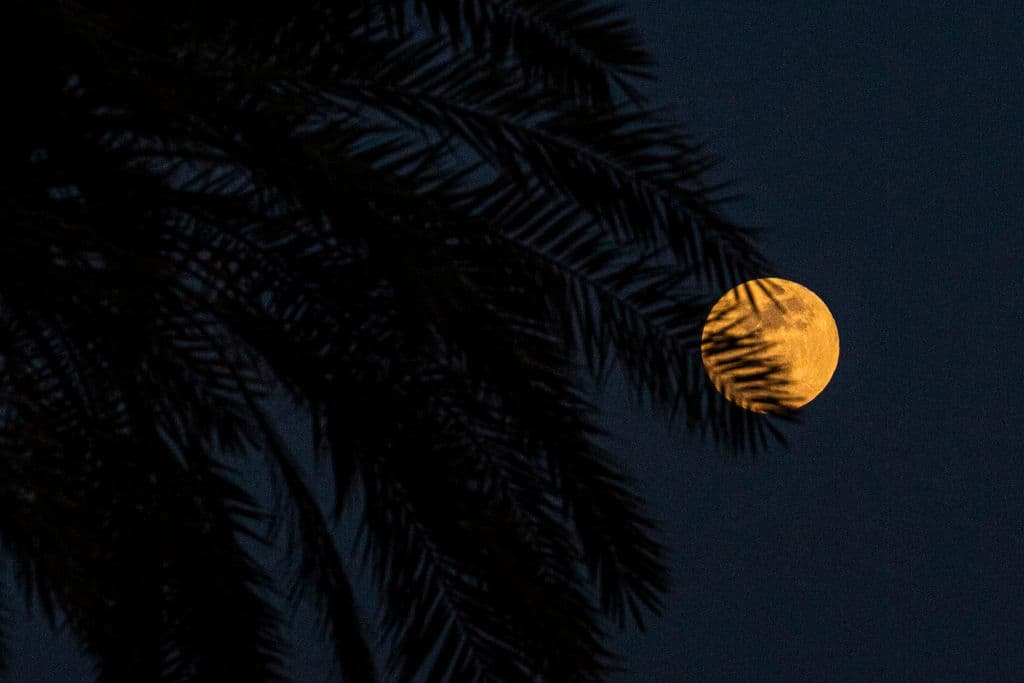 <b>“Un regalo de la madre naturaleza”</b>, así lo calificó Yara Lasanta, jefa de meteorología de Univision 34 Los Ángeles. “Estaremos disfrutando de la super luna y de un eclipse lunar. Este será el primer eclipse de la luna en dos años y se producirá al mismo tiempo que la luna se acerque a la tierra”.