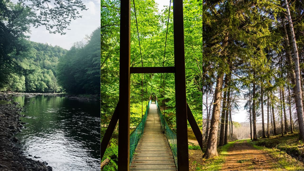 Más contacto con la naturaleza: tres nuevos parques estatales para disfrutar en Pensilvania 