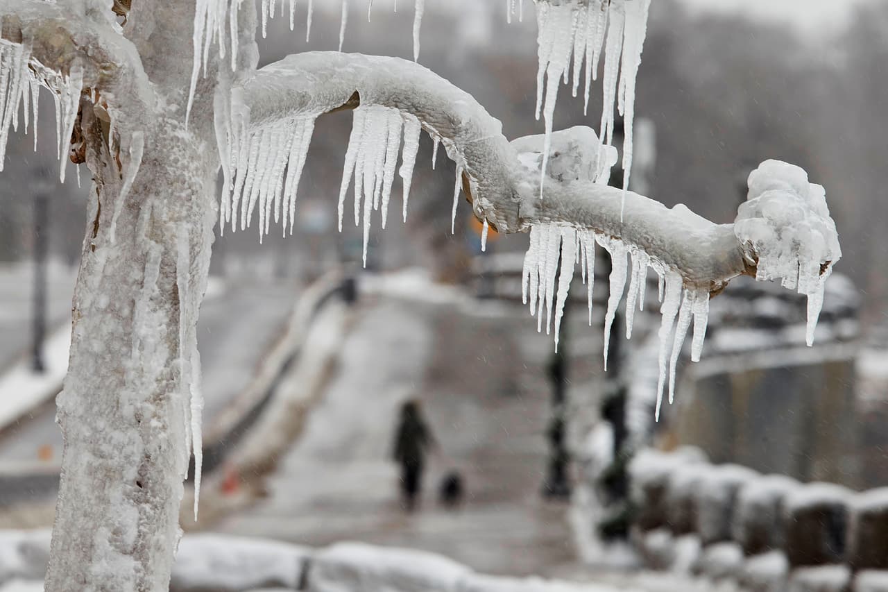La niebla helada es otro de los fenómenos del parque. Una gruesa capa de hielo se acumula en las ramas de los árboles y las barandas.
<br>