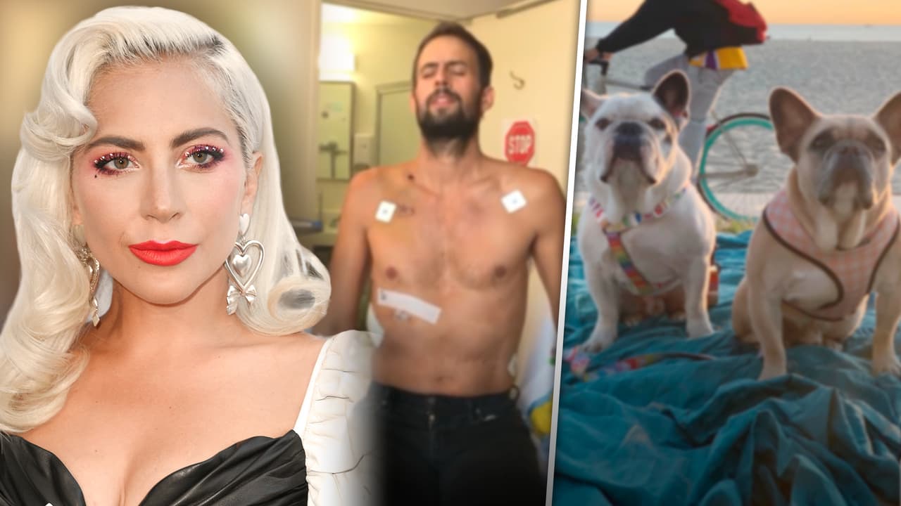 Paseador de los perros de Lady Gaga sale del hospital: perdió partes de un pulmón