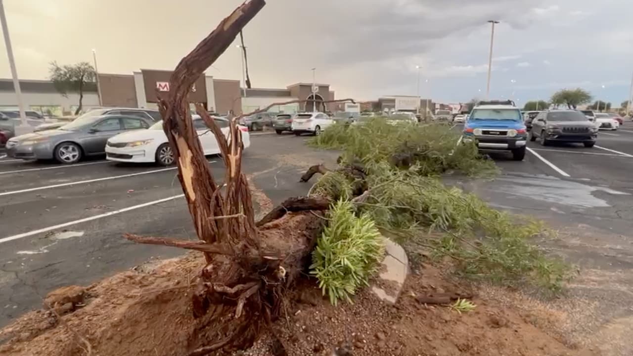 Por el momento no se reportan personas heridas ni daños de consideración. En caso de emergencia contacta al 911.