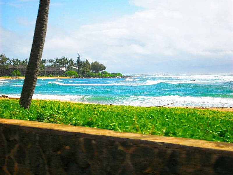 Con una historia de origen al rojo vivo como un volcán activo, los tubos de lava de la isla de
<b>Kaua'i </b>en Hawaii y las playas de arena negra son solo el comienzo de su belleza. El bosque proporciona un hábitat para especies de aves que sólo viven en las islas hawaianas y un viaje a la naturaleza revela valles colgantes y cascadas imponentes sobre pozas de agua dulce cristalinas.
<br>