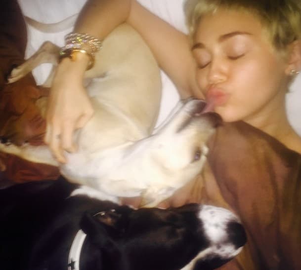 Dicen que Miley vive en un zoológico, y que incluso su novio Patrisk quedó horrorizado con la poca higiene que tiene la cantante, pues su casa está muy sucia por las mascotas que tiene. Esta selfie, reafirma lo que se dice.