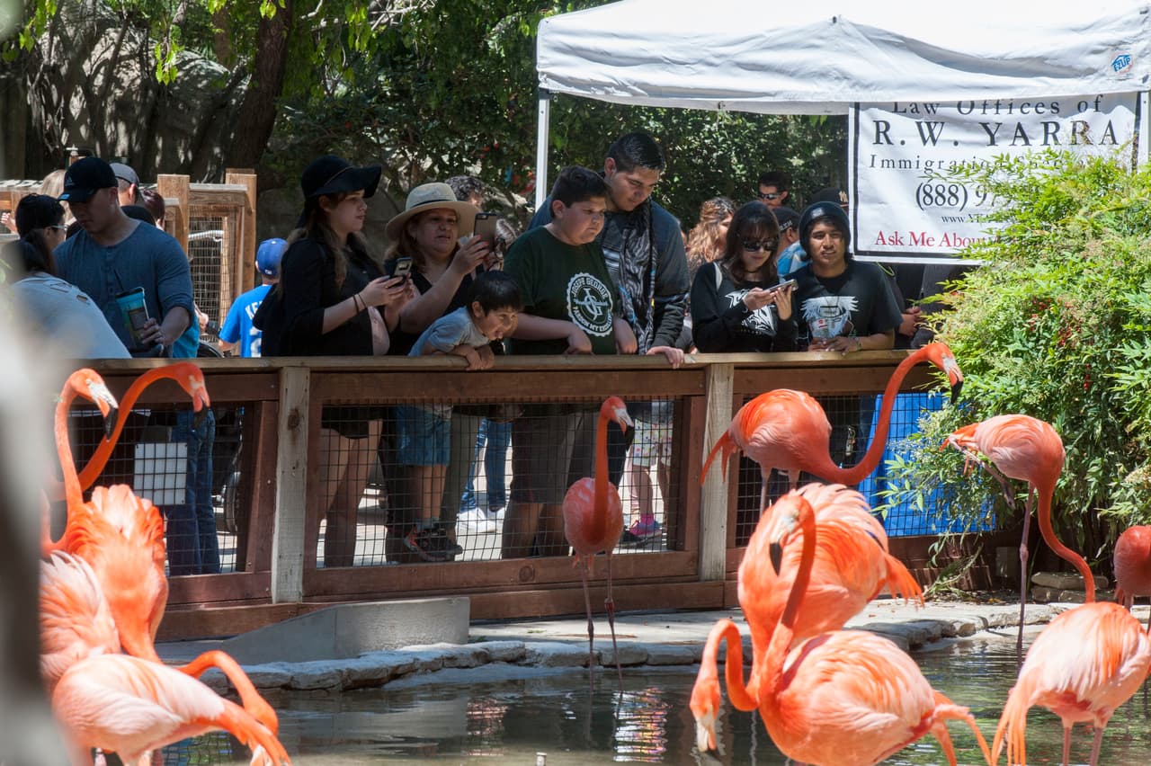 Un bello dia fue perfecto para las familias desde Bakersfield a Modesto.