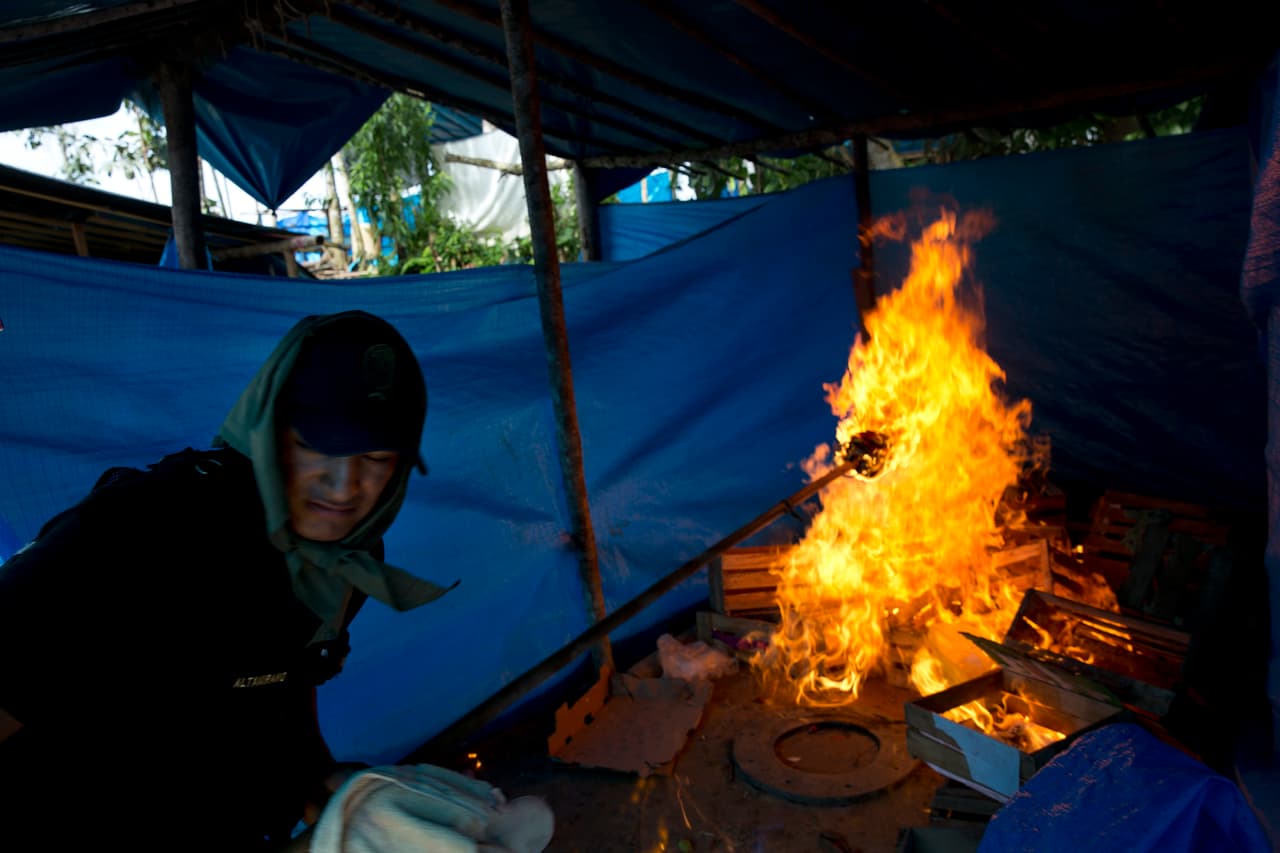 El gobierno realizó alrededor de 60 operativos de este tipo desde el 2014, momento desde el que se convirtió en delito dañar la selva.