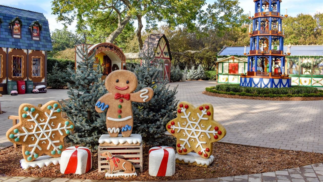 <h3 class="cms-H3-H3">Horarios y entradas </h3>
<br>
<b>Horario diurno:</b>
<br>De 9:00 a.m. a 5:00 p.m.
<br>
<b>Visitas nocturnas: </b>
<br>A las 6:00 p.m., 6:30 p.m. y 7:00 p.m.
<br>
<b>Precios diurnos: </b>
<br>Adultos (13-64 años): $14
<br>Niños (2-12 años): $14
<br>Mayores de 65 años: $14
<br>
<b>Precios nocturnos: </b>
<br>Adultos: Entre $14 y $27 (según el día).
<br>Niños: Entre $14 y $15.
<br>Mayores de 65 años: Entre $14 y $20.
<br>
<b>Fechas clave:</b>
<br>El lugar estará cerrado los días 24, 25 y 31 de diciembre. Es recomendable comprar tus boletos con anticipación debido a la alta demanda. Haz tu reserva en
<a href="https://www.dallasarboretum.org/" target="_blank">dallasarboretum.org</a>
<br>