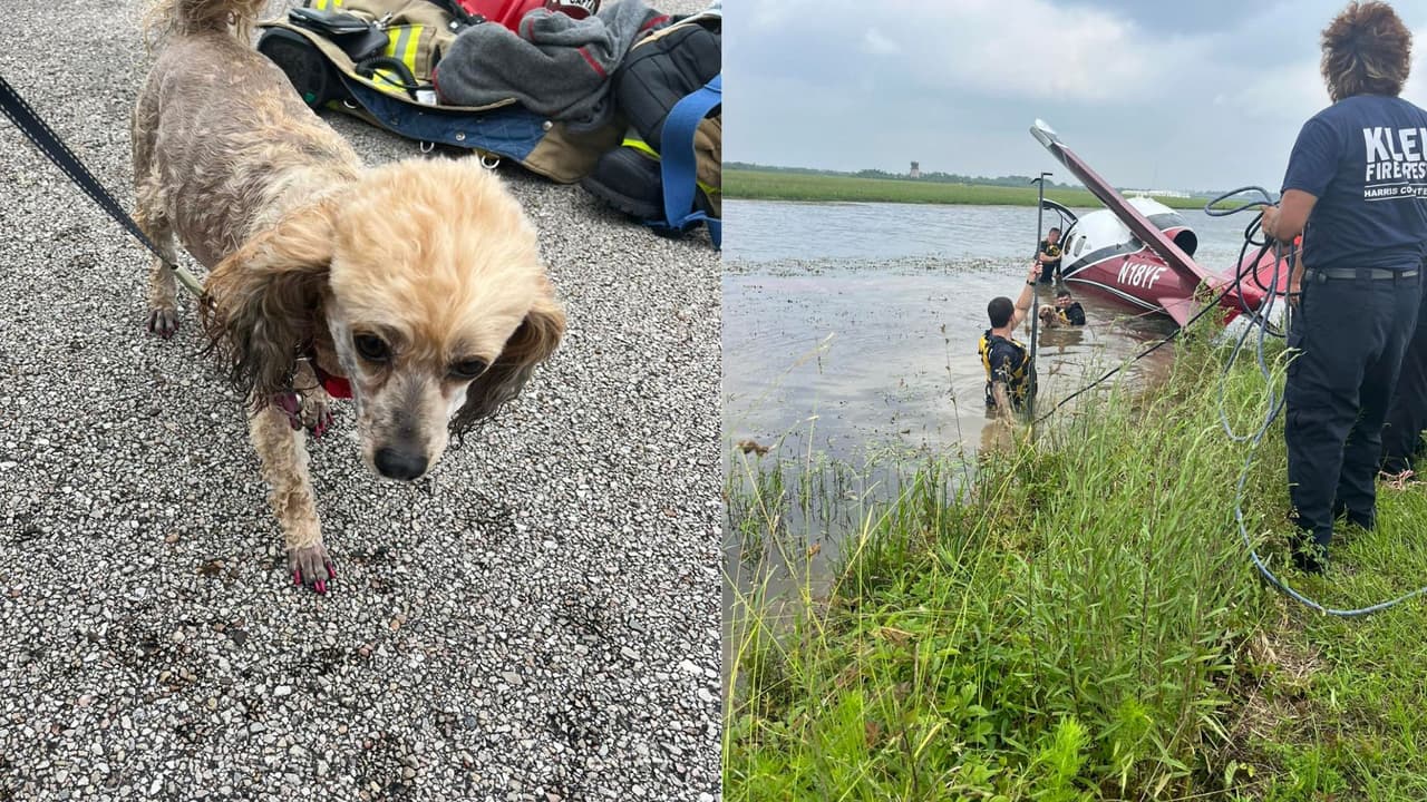 Bomberos rescatan a tres personas y dos perros tras accidente de una avioneta en el Aeropuerto de Hooks