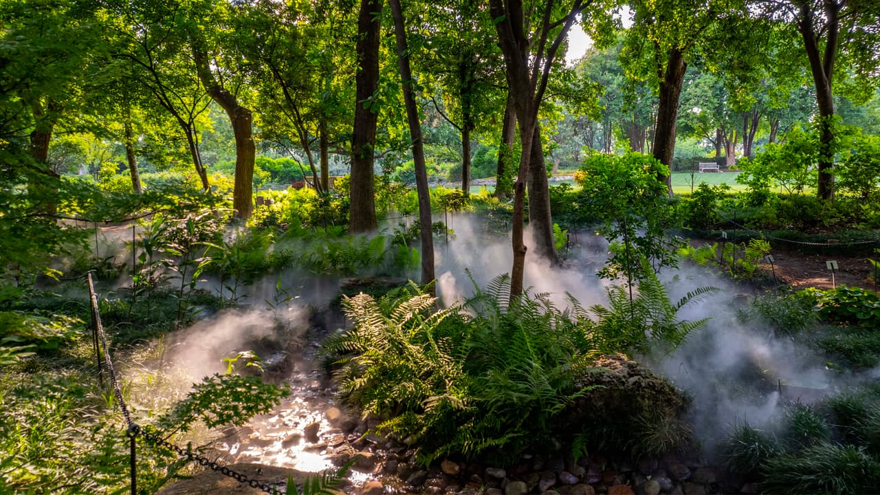 Dallas Arboretum y Jardín Botánico de Dallas está situado en la orilla sureste del lago White Rock, 
<b>en el 8525 Garland Road</b>. Abre todos los días de 
<b>9 de la mañana a 5 de la tarde</b>.