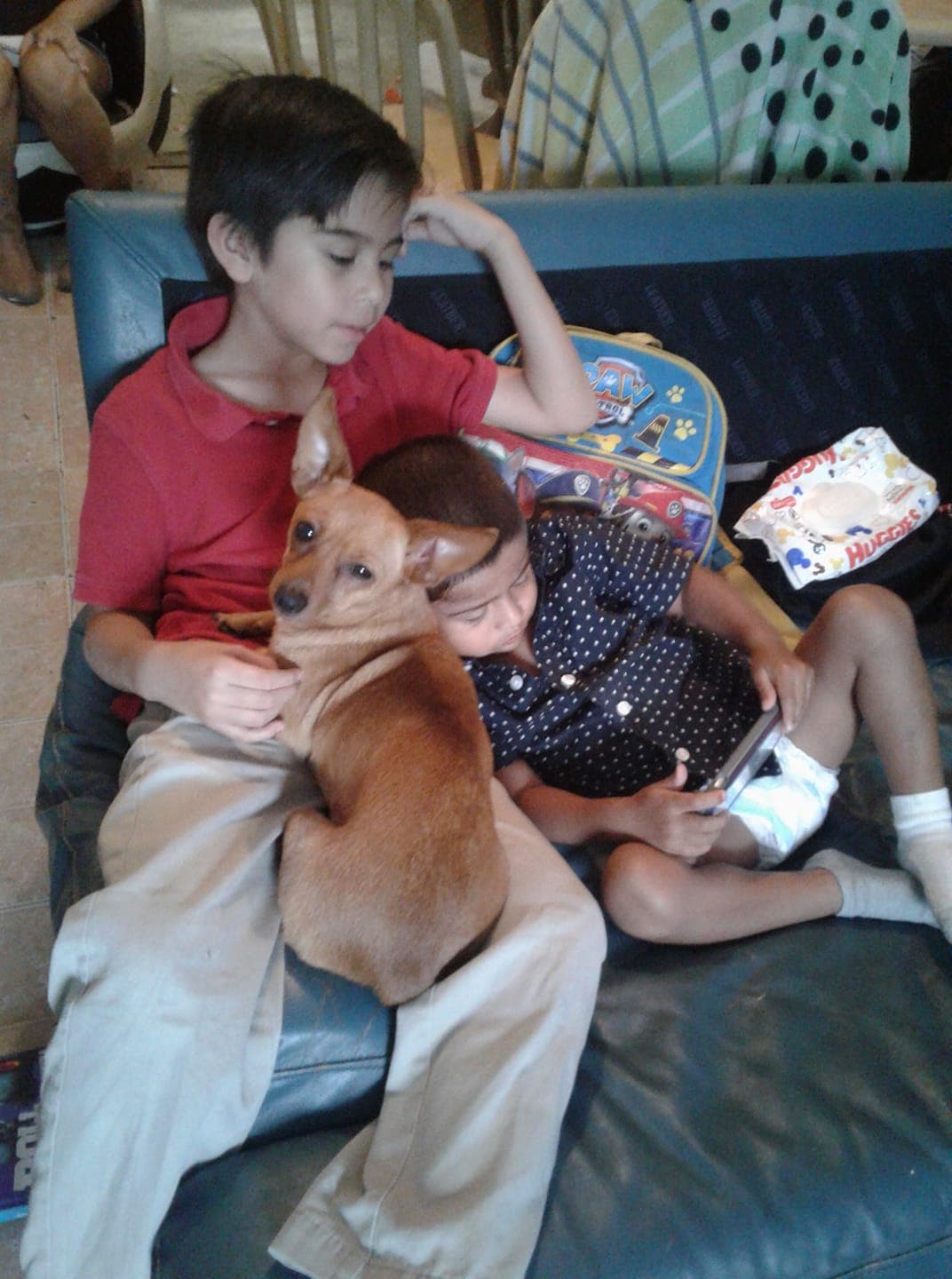 "De no gustarme los perros ahora ella es un integrante de la familia hasta duerme conmigo todas la quieren mucho a mi LATOSA 🐶". Toña Romero.