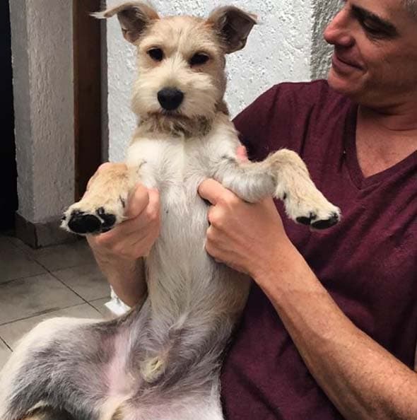 Aunque Lisardo es fan de todos los animales, Rocky siempre tendrá un lugar especial en su gran corazón.