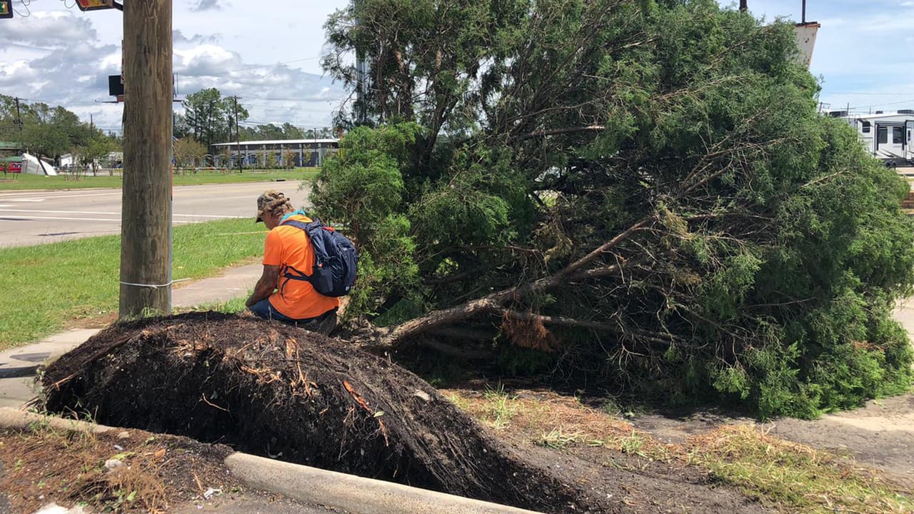 Árboles caídos son parte de los destrozos ocasionados por el fenómeno meteorológico en Orange, Texas.