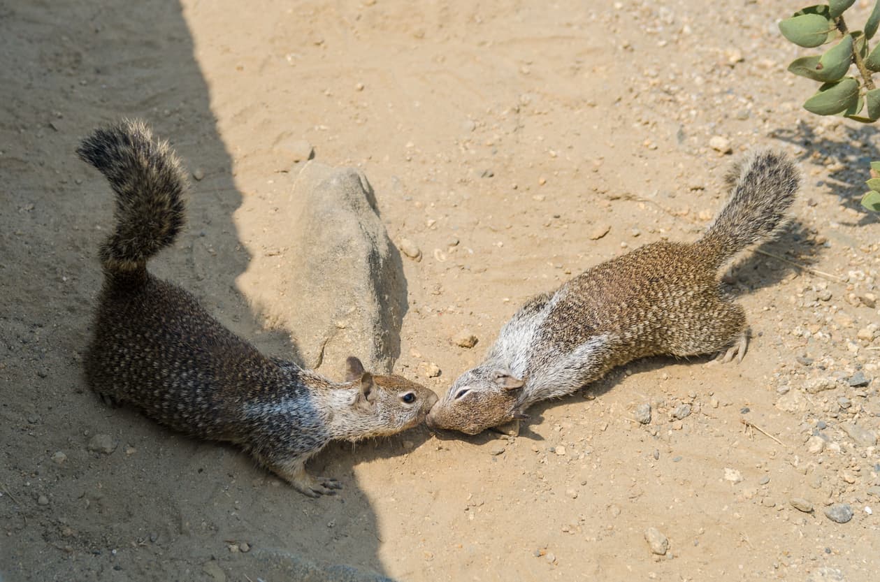 10. Afincar (Nicaragua)
<br>Para los nicaragüenses, “afincar” es solo una forma de decir “besar”. En Colombia, “dejar finca” significa dejar un depósito para llevar una canasta de cervezas.