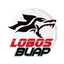 Lobos BUAP