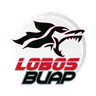 Lobos BUAP