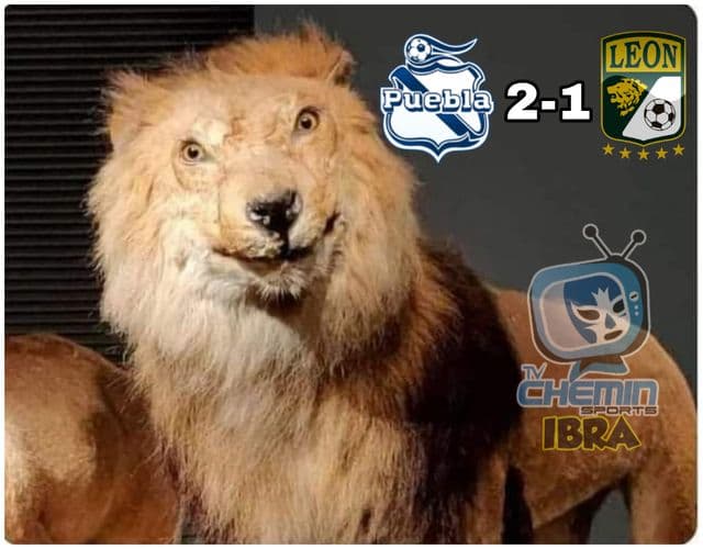 Con las victorias del Puebla 2-1 sobre el León y de Chivas 1-0 sobre el América, los memes encuentran la mejor excusa para salir y armar destrozos.