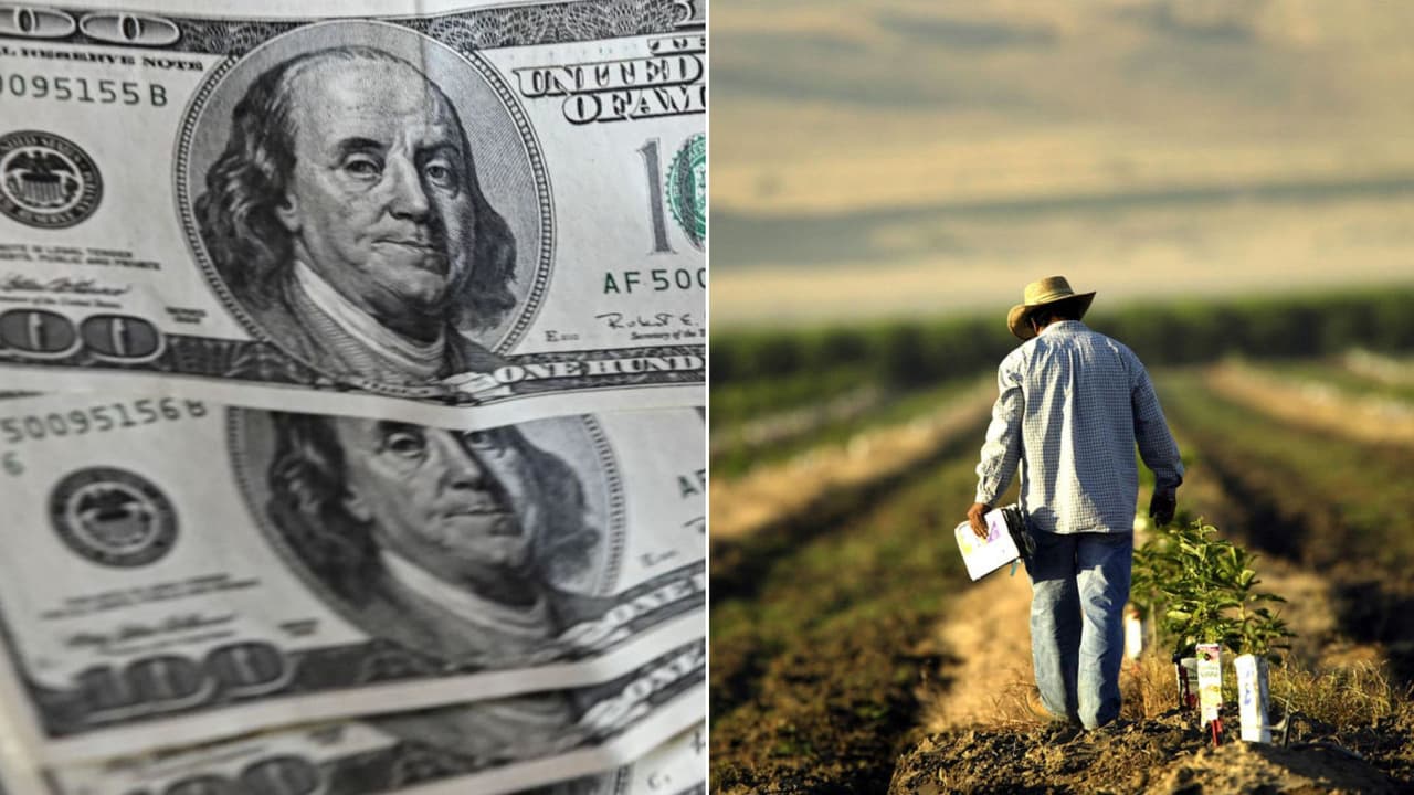 <h2 class="cms-H2-H2"><a href="https://www.univision.com/local/miami-wltv/florida-perderia-decenas-de-millones-de-dolares-si-los-inmigrantes-dejan-de-trabajar-segun-estudio-video">¿Qué impacto tendrá en el mercado laboral de Florida la nueva ley de inmigración? </a></h2>
<br>
<br>Un estudio del Instituto de Políticas de Florida reveló que más de 
<b>390,000 inmigrantes indocumentados trabajan en sectores como la construcción, la agricultura y los servicios, entre otros. </b>
<br>
<br>Este mismo informe señaló que si las personas indocumentadas abandonan sus puestos de trabajo,
<b> el producto interno bruto del estado caería en más de 12,000 millones de dólares.</b>