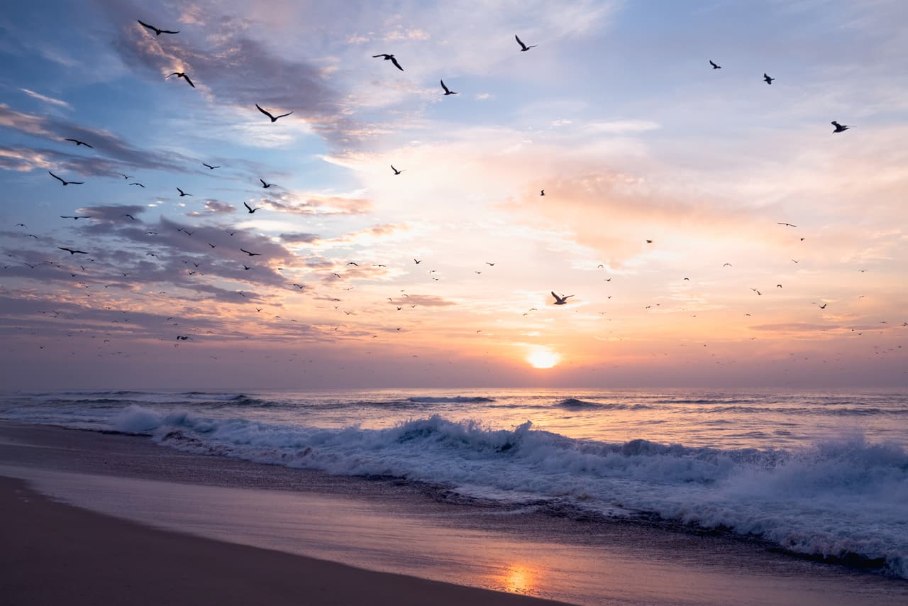 Guadalupe Dunes en el condado de Santa Barbara.