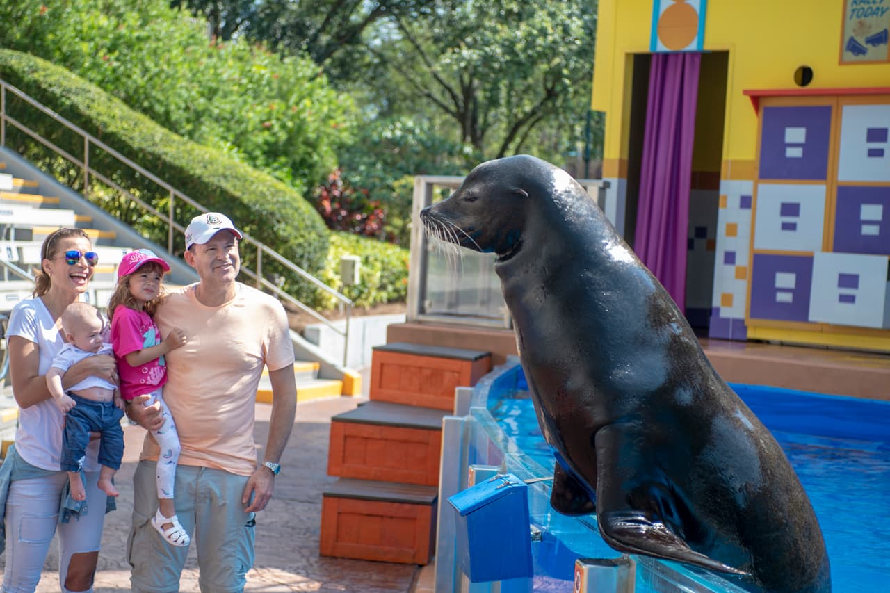 Poder ver de cerca a este león marino fue impresionante.