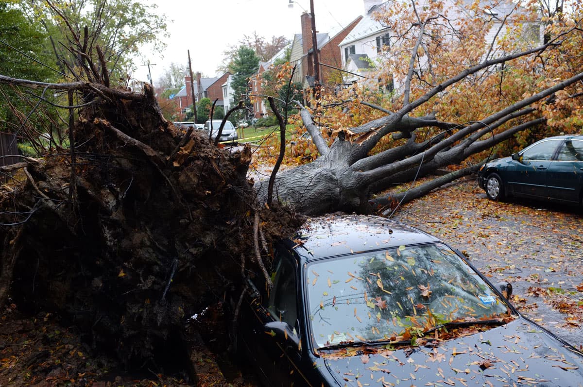 Fuertes vientos derriban árboles y postes de luz en Nueva York y Nueva Jersey