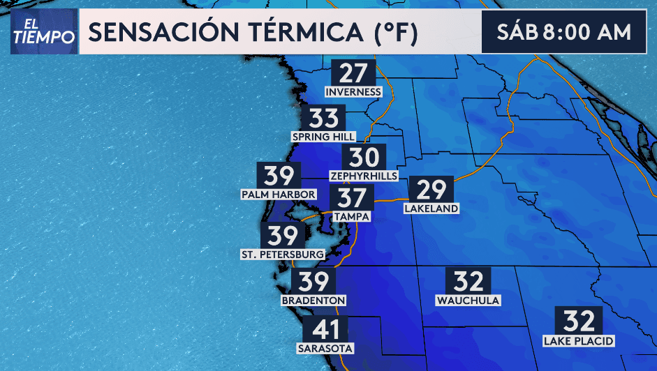 Frío congelante se sentirá este fin de semana en la Bahía de Tampa