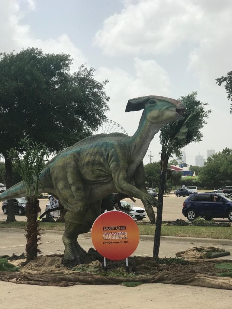 Los tours inician a las 11 de la mañana hasta las 8 de la noche. Algunos días el horario puede variar.