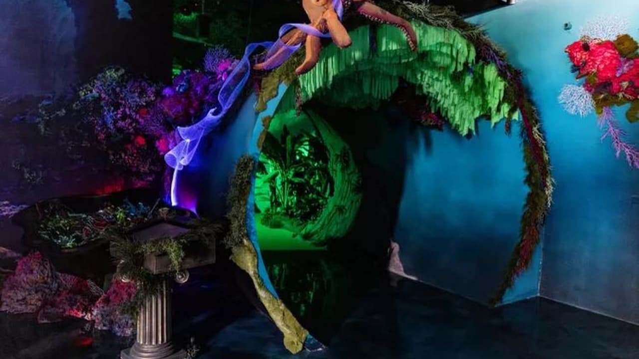 Un domo de video mapping permite a los visitantes sumergirse en la experiencia del Bosque Lluvioso de El Yunque, recreando su entorno natural.