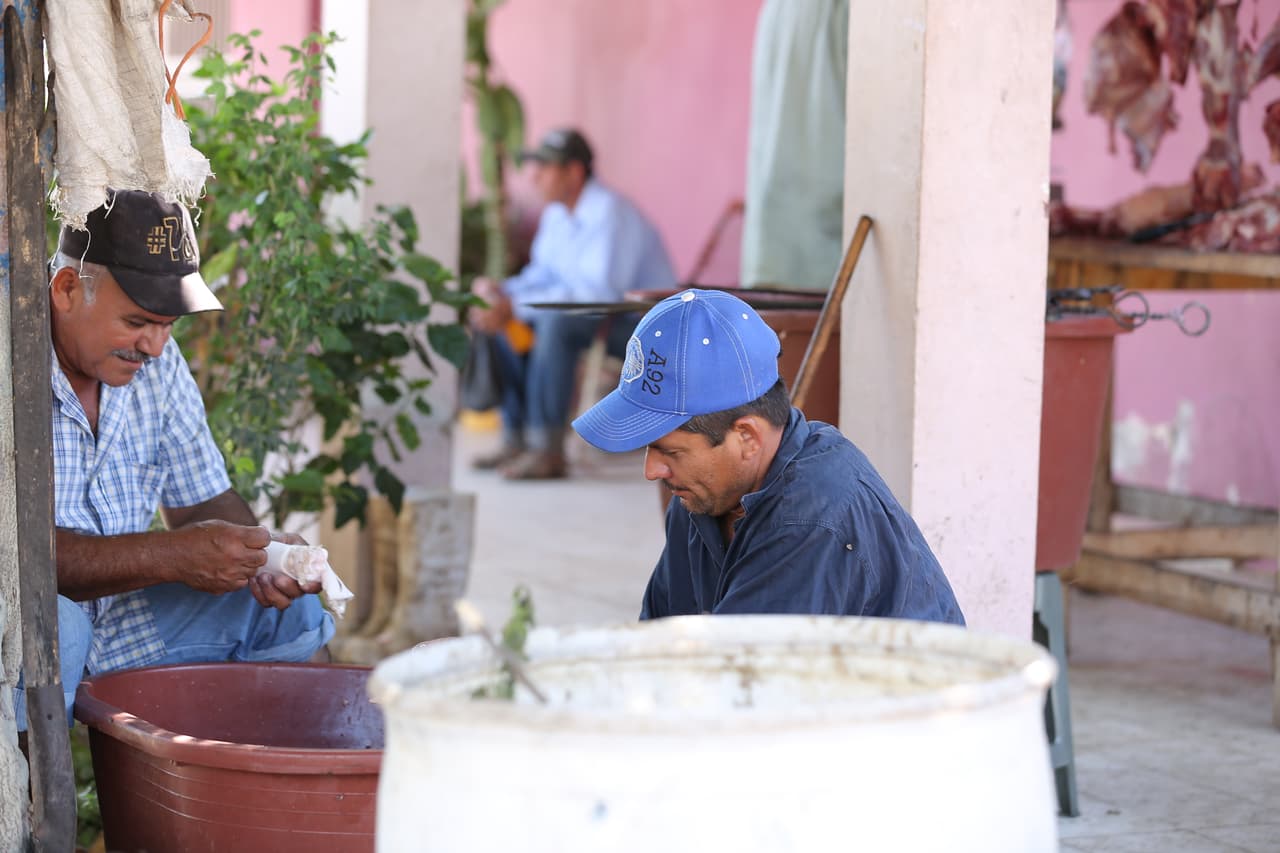 La leche obtenida del ganado es utilizada para la elaboración de quesos.