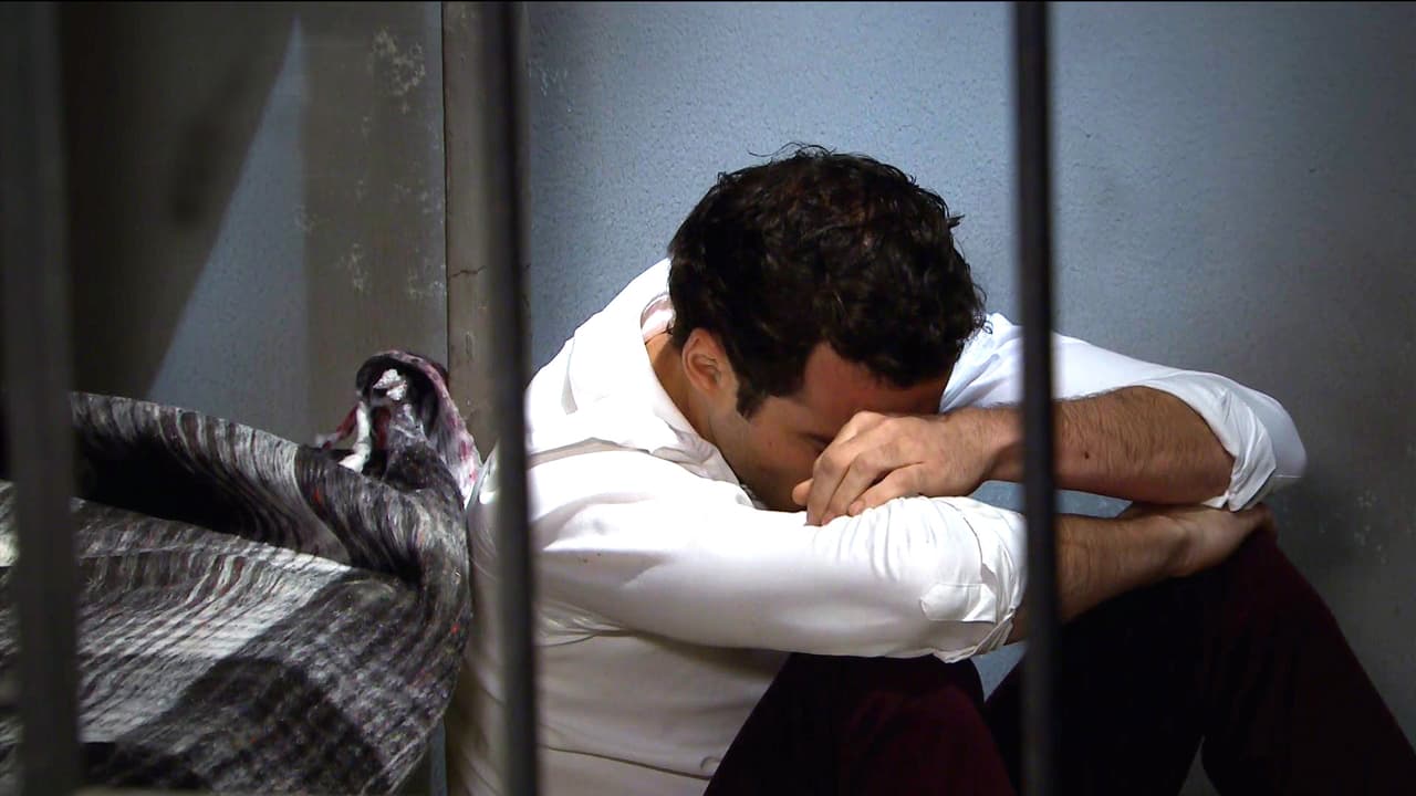 Sabemos que tú no querías hacerle daño a Erick.