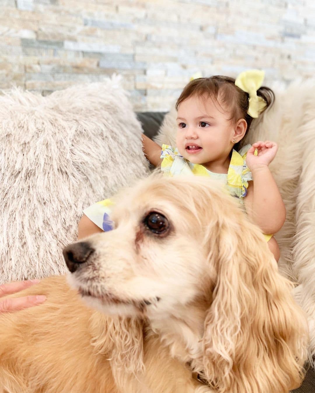 Marley, quien aparece en esta foto junto a Chloé, es una de las criaturas que vive con la familia de Carolina.