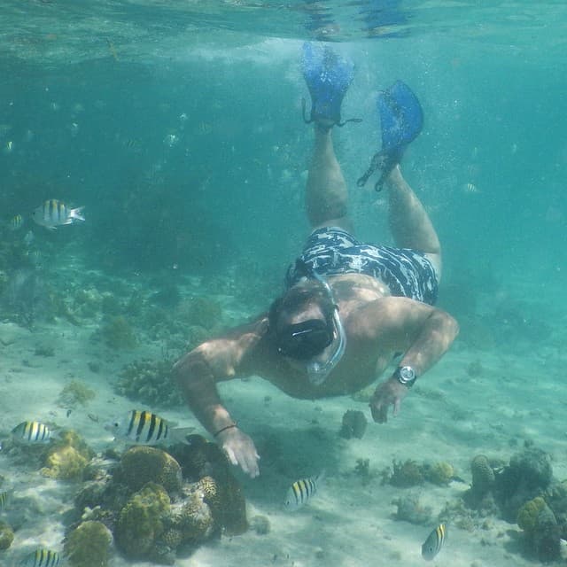 Raúl de Molina aprovechó para hacer snorkel bajo del mar.