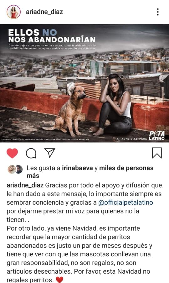La actriz señaló que ahora colabora a través de sus redes sociales con 
<b><a href="https://www.instagram.com/p/B5tUgebnPbr/" target="_blank">varias campañas</a> </b>de organizaciones como Peta Latino.