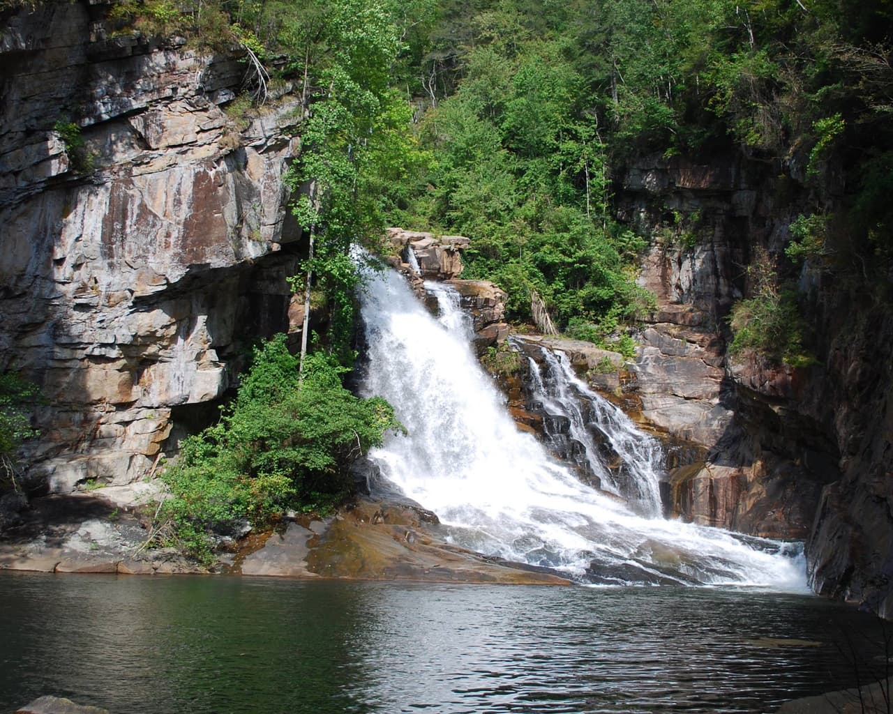 <b>Tallulah Gorge State Park</b>. Tallulah Gorge puede ser uno de los lugares más emocionantes de Georgia, y el sendero North Rim se encuentra a pocos pasos del campamento en Tallulah Gorge State Park en Tallulah Falls. Los campistas pueden permanecer dentro del parque, eligiendo entre 50 sitios con conexiones eléctricas y de agua, además de duchas de agua caliente.