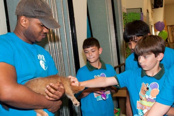 Los estudiantes de este centro y otros asistentes tuvieron la oportunidad de ver mascotas que pueden ser adoptadas.