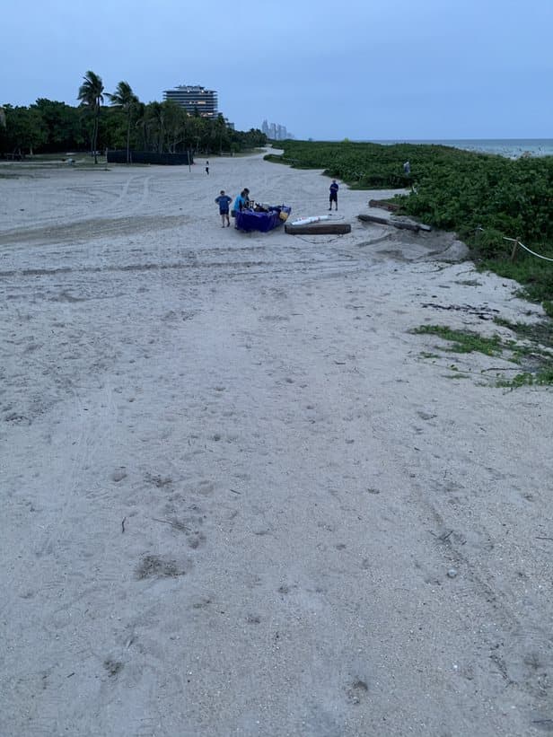 Desde octubre 1 del 2020 la Guardia Costera informó que ha interceptado 465 cubanos. Mientras que en todo el año fiscal 2020 interceptaron 49 cubanos. 
<br>
<br>