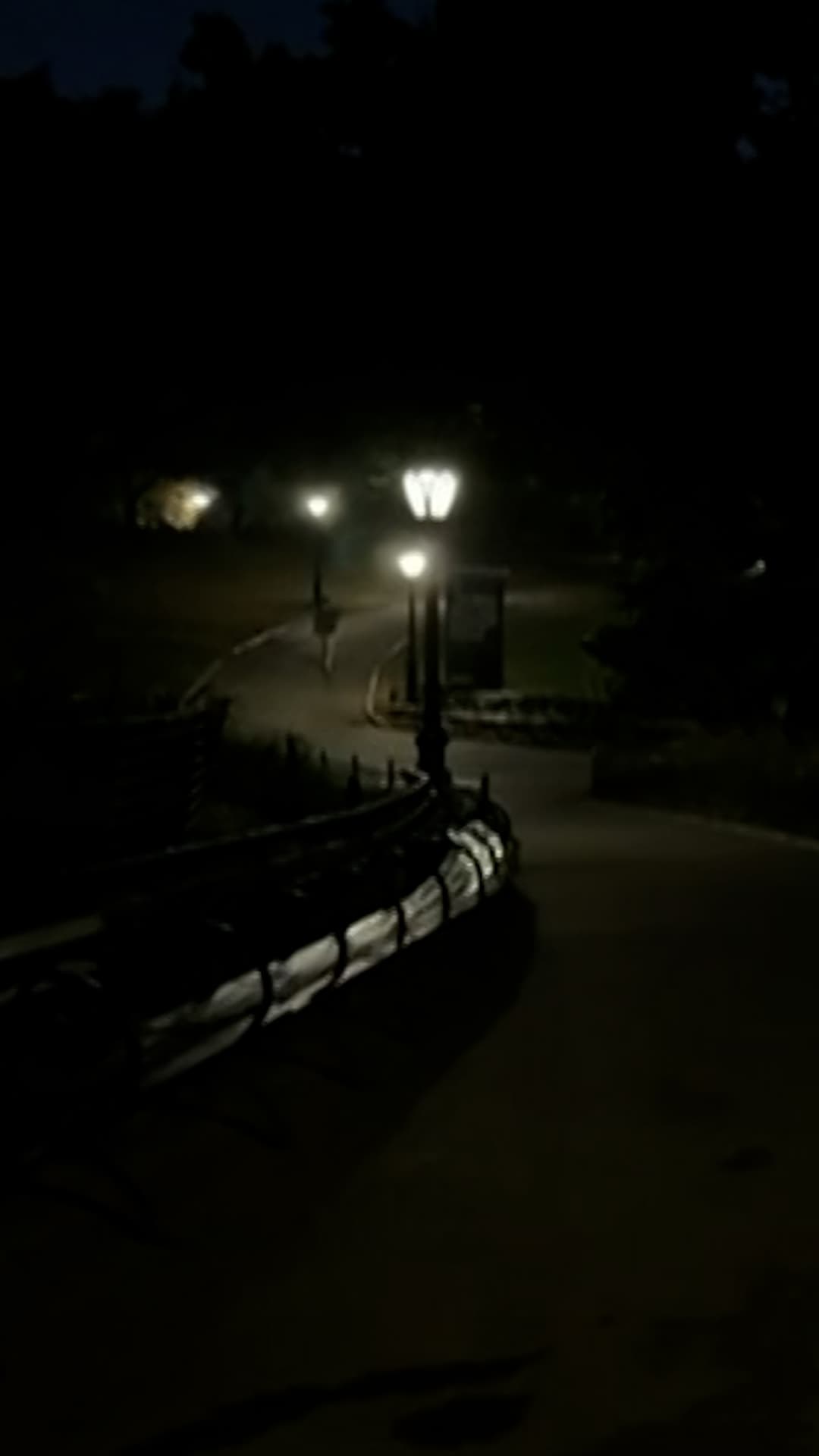 Buscan a sospechoso de agredir sexualmente a una mujer con un cuchillo en Central Park