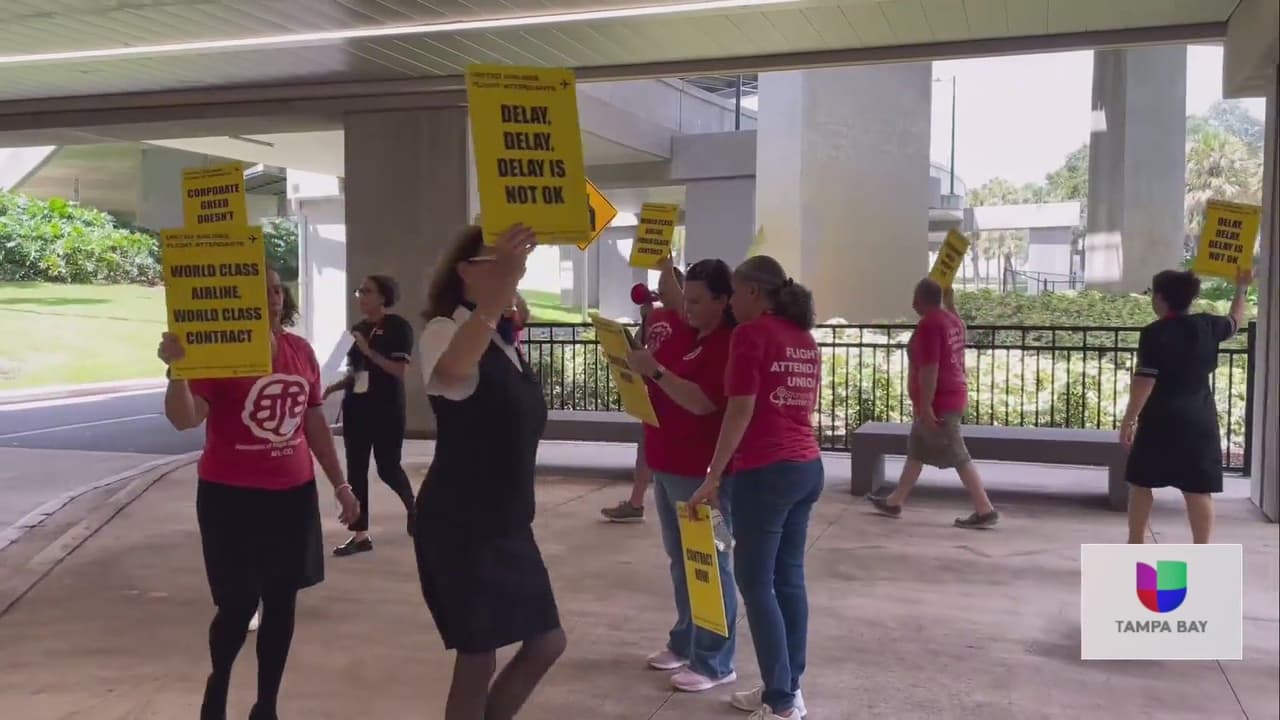 Alerta de huelga: Asistentes de vuelo de United Airlines exigen mejoras salariales y laborales