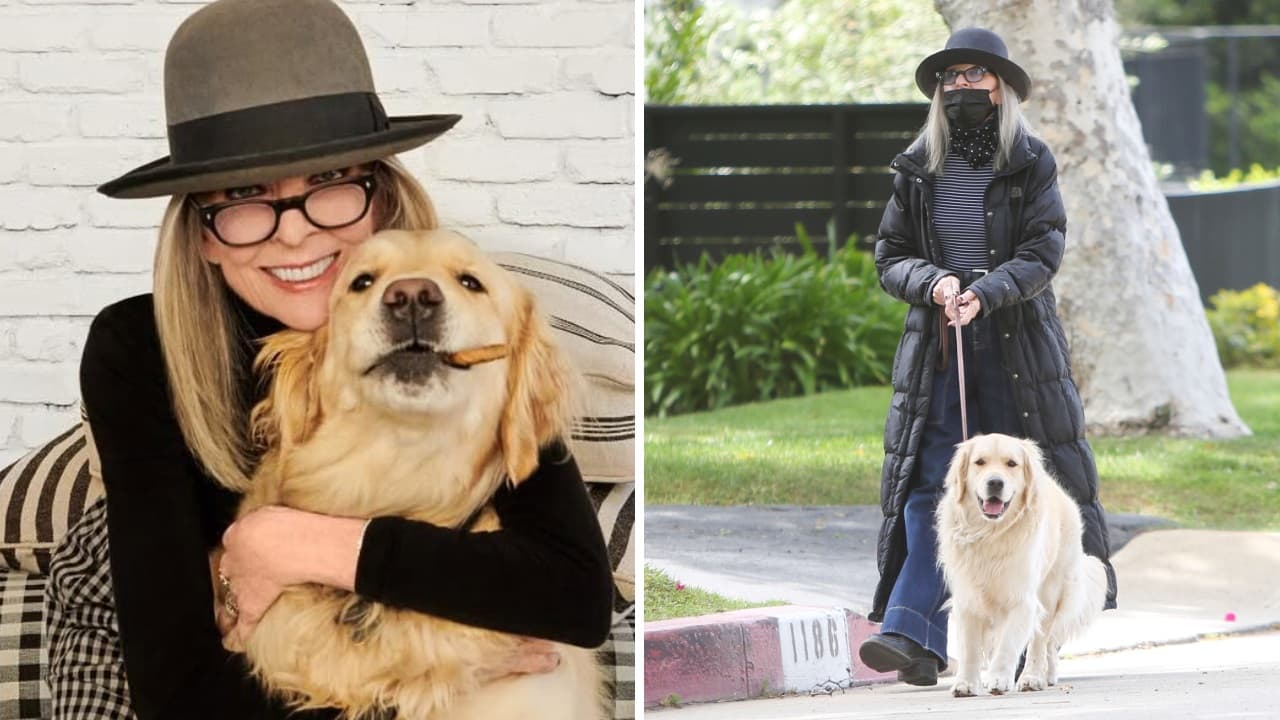 Diane Keaton dedicó su última publicación a Reggie: ¿quién se hará cargo de su mascota?