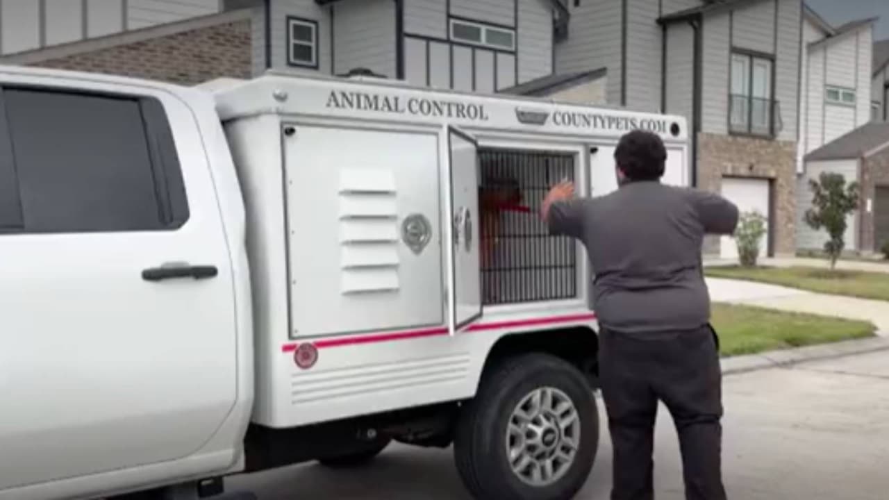 Un perro pitbull atacó a una abuela y a su nieta en el condado Harris